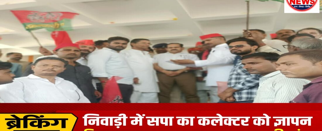 ढिमरपुरा जलभराव से लेकर अवैध शराब तक, सपा ने उठाईं जिले की जनसमस्याएंकलेक्टर को सौंपा ज्ञापन, क्षतिग्रस्त मकानों और फसल के मुआवजे की मांग