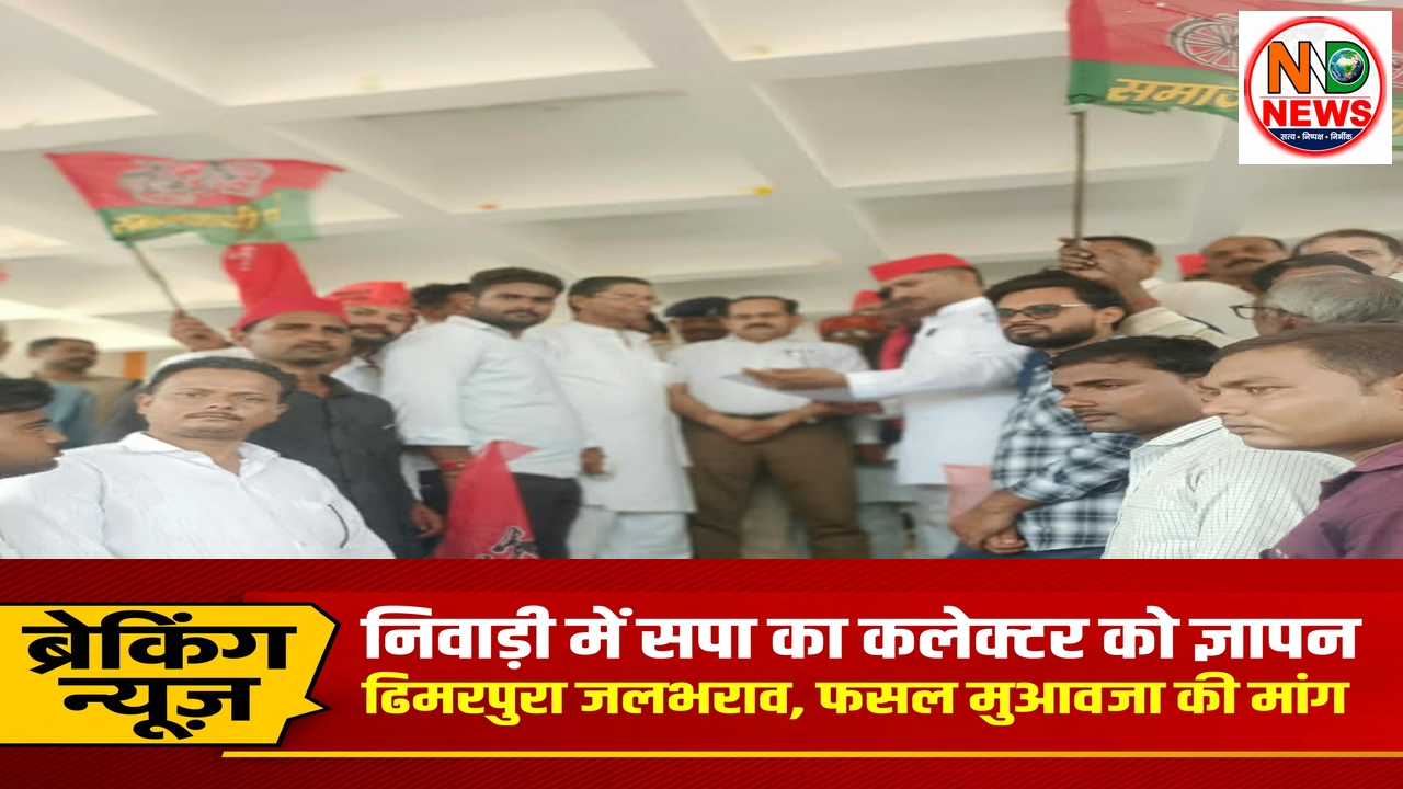 ढिमरपुरा जलभराव से लेकर अवैध शराब तक, सपा ने उठाईं जिले की जनसमस्याएंकलेक्टर को सौंपा ज्ञापन, क्षतिग्रस्त मकानों और फसल के मुआवजे की मांग